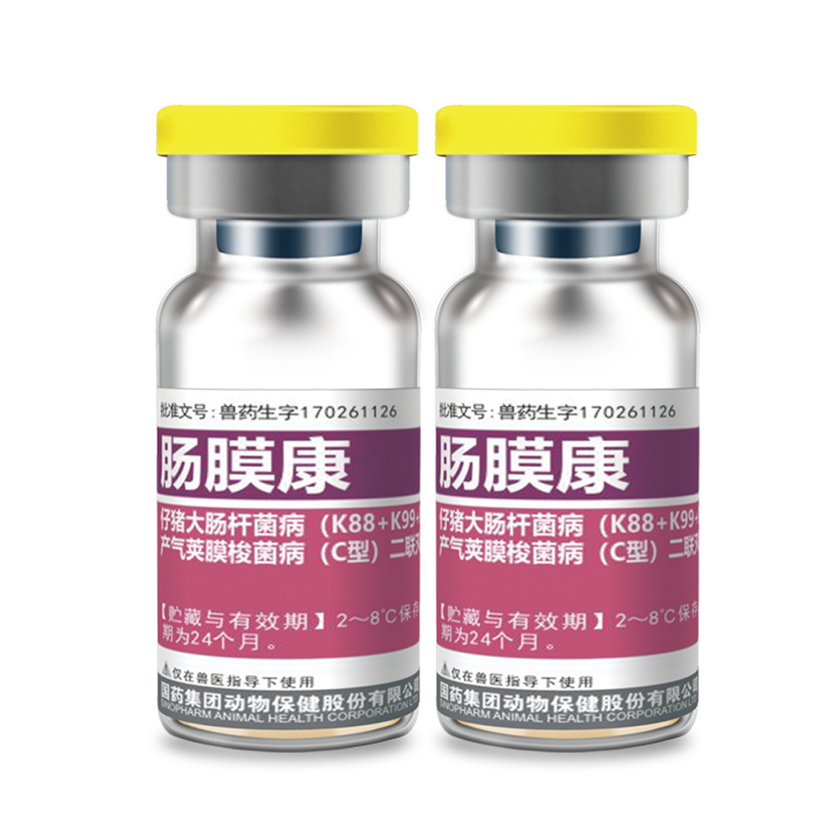 肠膜康【仔猪大肠杆菌病（K88+K99+987P）、产气荚膜梭菌病（C型）二联灭活疫苗】