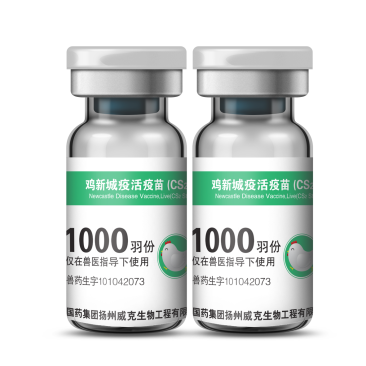 鸡新城疫活疫苗（CS2株）