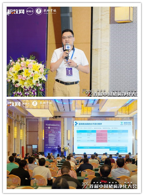 dabd1e35-ca5b-4aa8-b922-df3e1bf67407.jpg