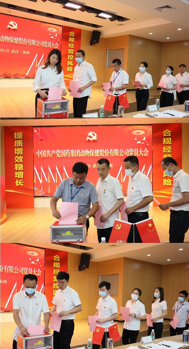 cd17ba7e-33f3-4aed-bf2d-1277fddba650.jpg